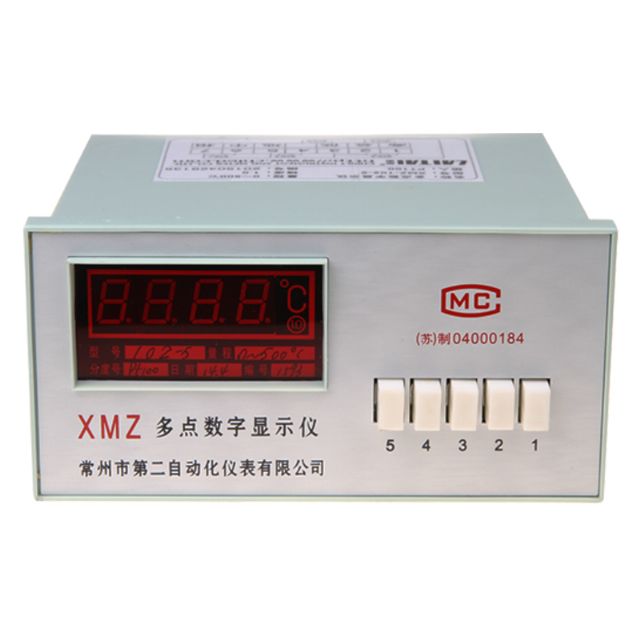 XMZ-102-5 多点数字显示仪 