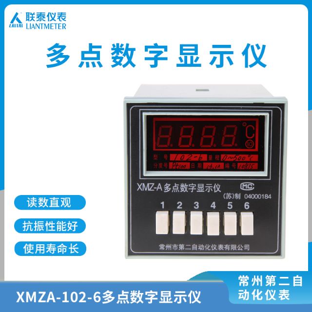 XMZA-102-6 多点数字显示仪