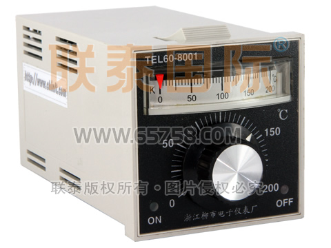 TEL60-8001 温度指示调节仪 