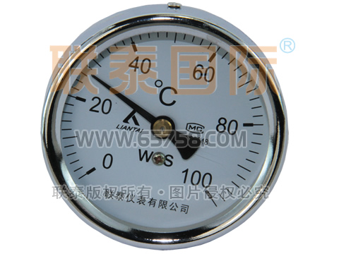 WSS-301 双金属温度计